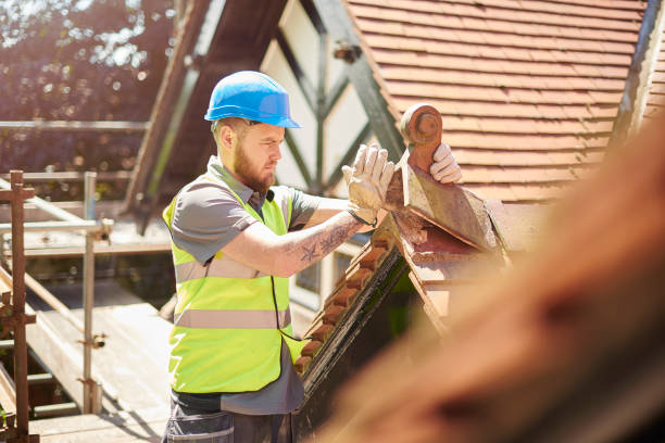 Best Roof Gutter Cleaning  in Gerber, CA